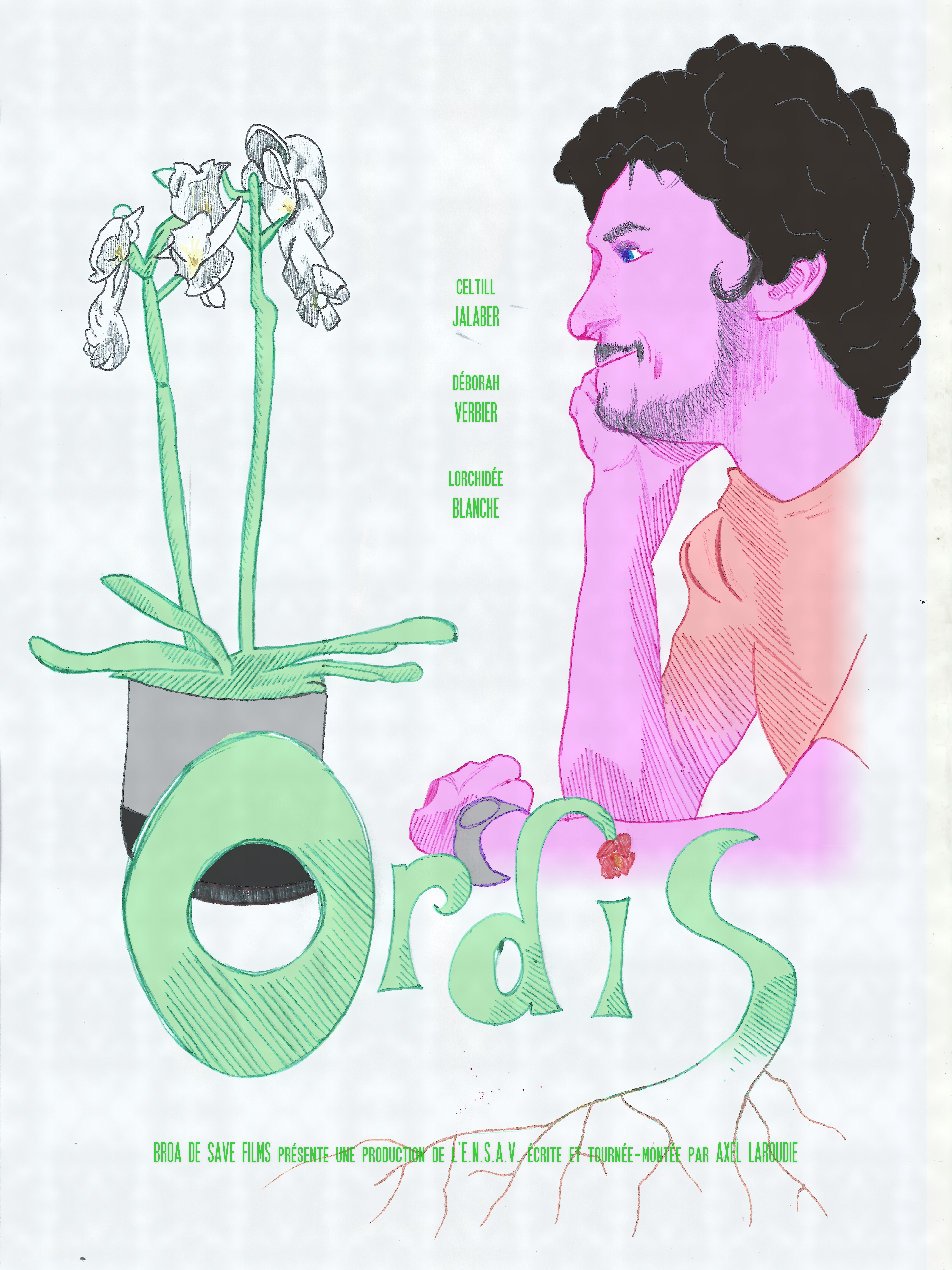 Ordis (2018)