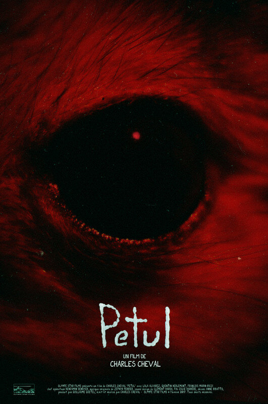 Petul (2017)